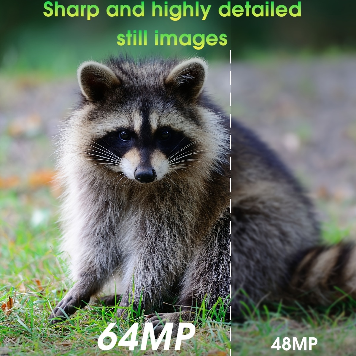 4k outdoor wildlife photo camera trail camera wifi Temu Malaysia