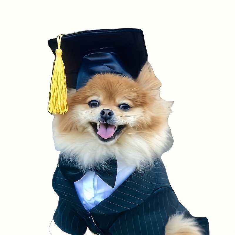 

Graduation Cap & - Polyester, , For Breeds -