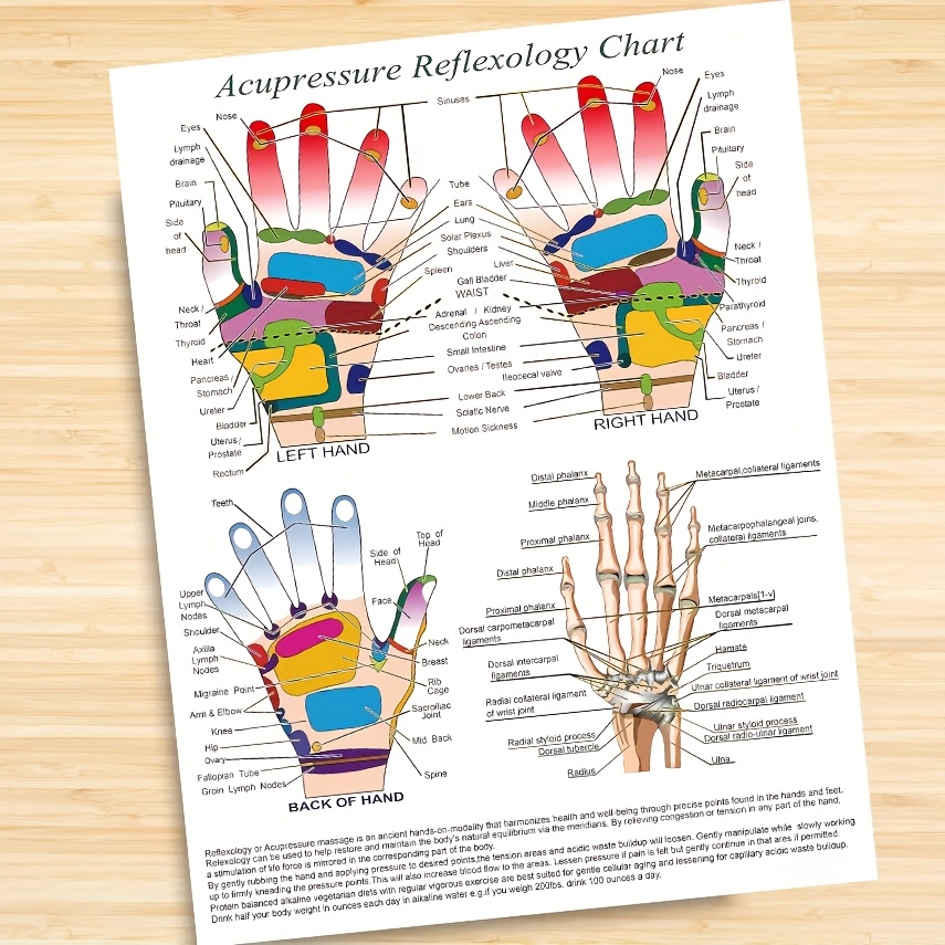 TEMU Poster de Réflexologie Acupressure pour - Art Mural pour -Être et l'Éducation, 2D Plat, Parfait pour la Décoration de