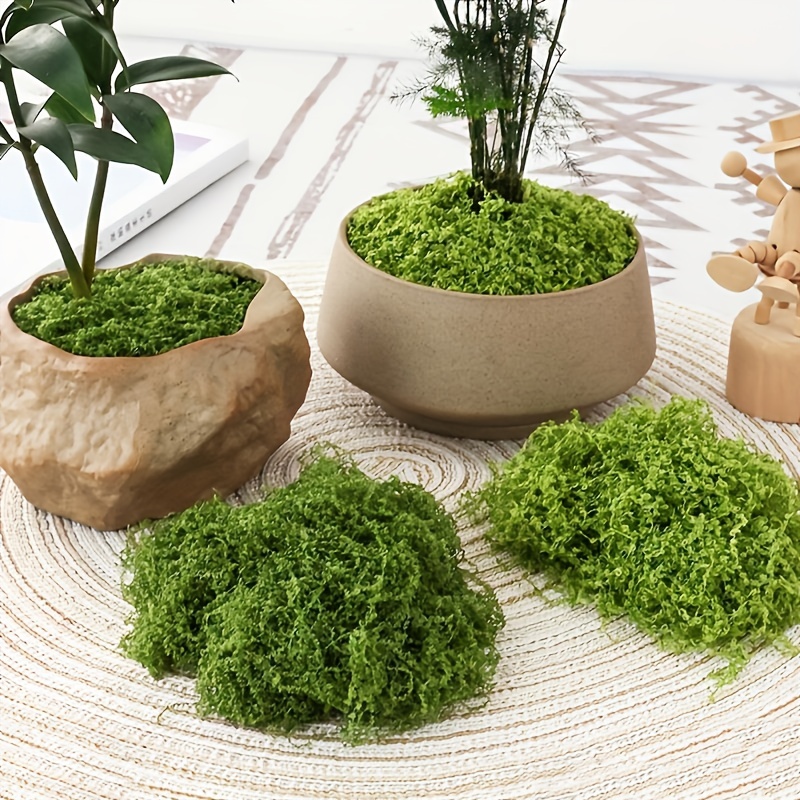 Musgo artificial artificial de musgo verde para plantas, césped de jardín,  manualidades, decoración de boda (paquete pequeño de 0.71 oz/20 g/ paquete