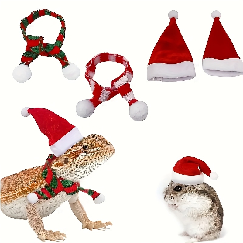 TEMU 2pcs Holiday Christmas Outfit Set, Suitable For Small Animals - Santa Hat And Scarf, Applicable To Bearded Dragons, Hamsters, Sheep, , Hedgehogs