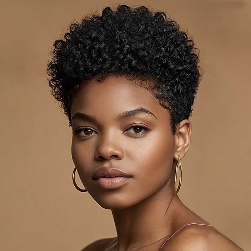 TEMU Short Black Afro Curly Wig Short Hairstyles Short Cut Wig Synthetic Wigs For Women Short Hair Wigs For Halloween, Christmas Party, Music Festival