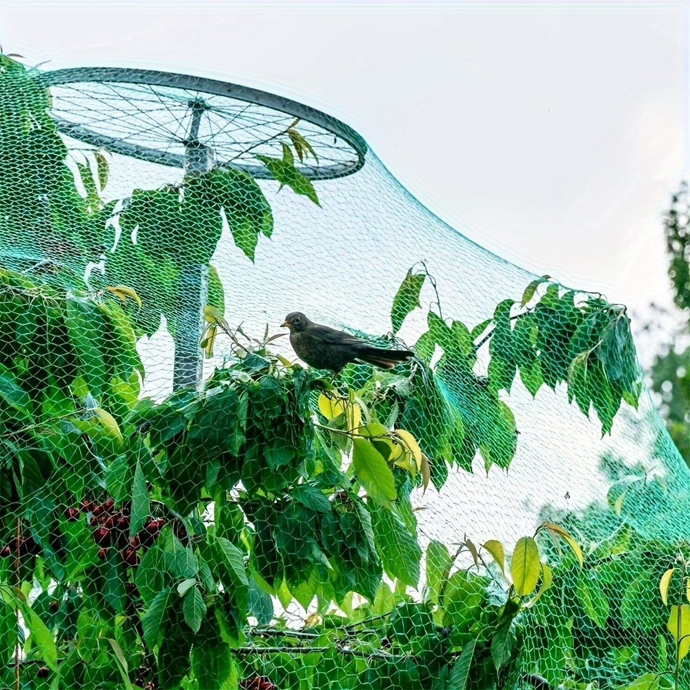 

uv-resistant" Green Nylon Bird & Insect Protection Netting, 2-10m - Ideal For Vegetable Gardens, Grape Vines, And Fish Pond Covers