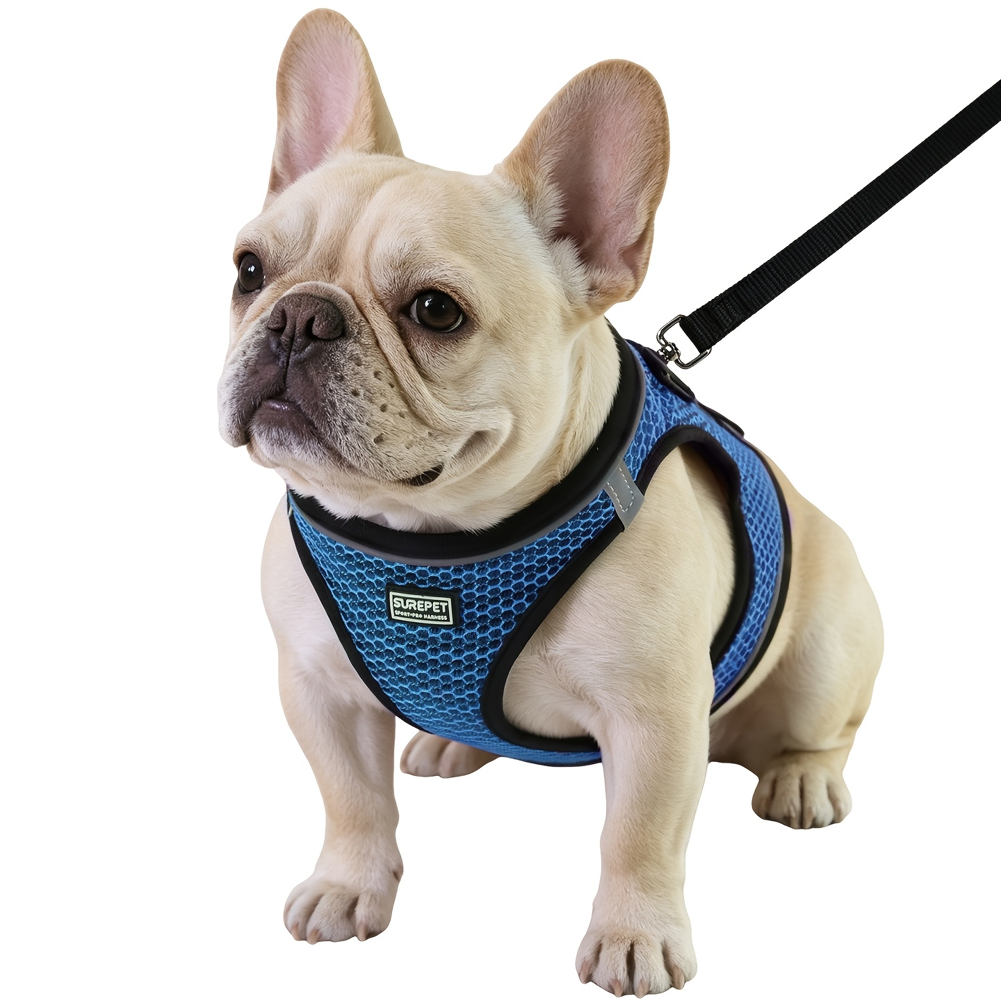 Dog Harness With , Mesh Breathable Outdoor Anti-escape Vest Harness, Adjustable Anti-pull Design, Comfortable No-choke, Suitable For Small And Medium Dogs