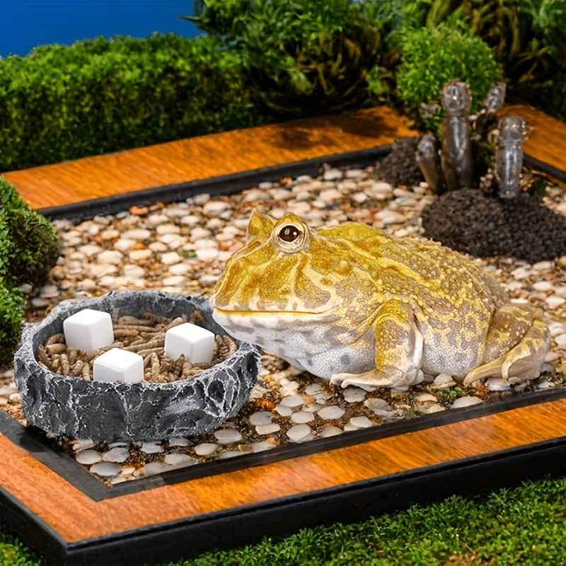 6 Natural Calcium Stones And Mineral Blocks - Calcium Carbonate, Smooth Edges Suitable for Shrimp, Hermit Crabs, Turtles, Snails, Frogs - Aquarium And Glass Cover Decoration - a Source of Calcium Supplement for Healthy Shell Growth And Ph Balance