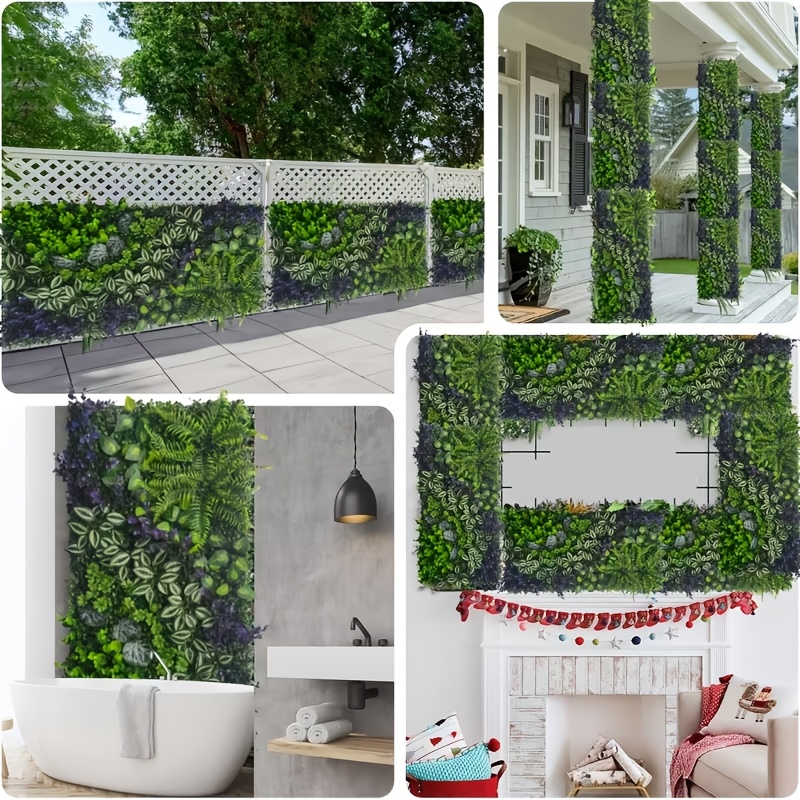 anthurium weiß Kaufen Sie jetzt Zimmerpflanze Flamingopflanze Anthurium andreanum Weiß main image 1