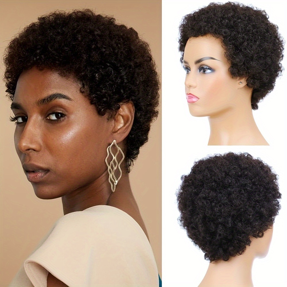 Short afro 2025 wigs human hair