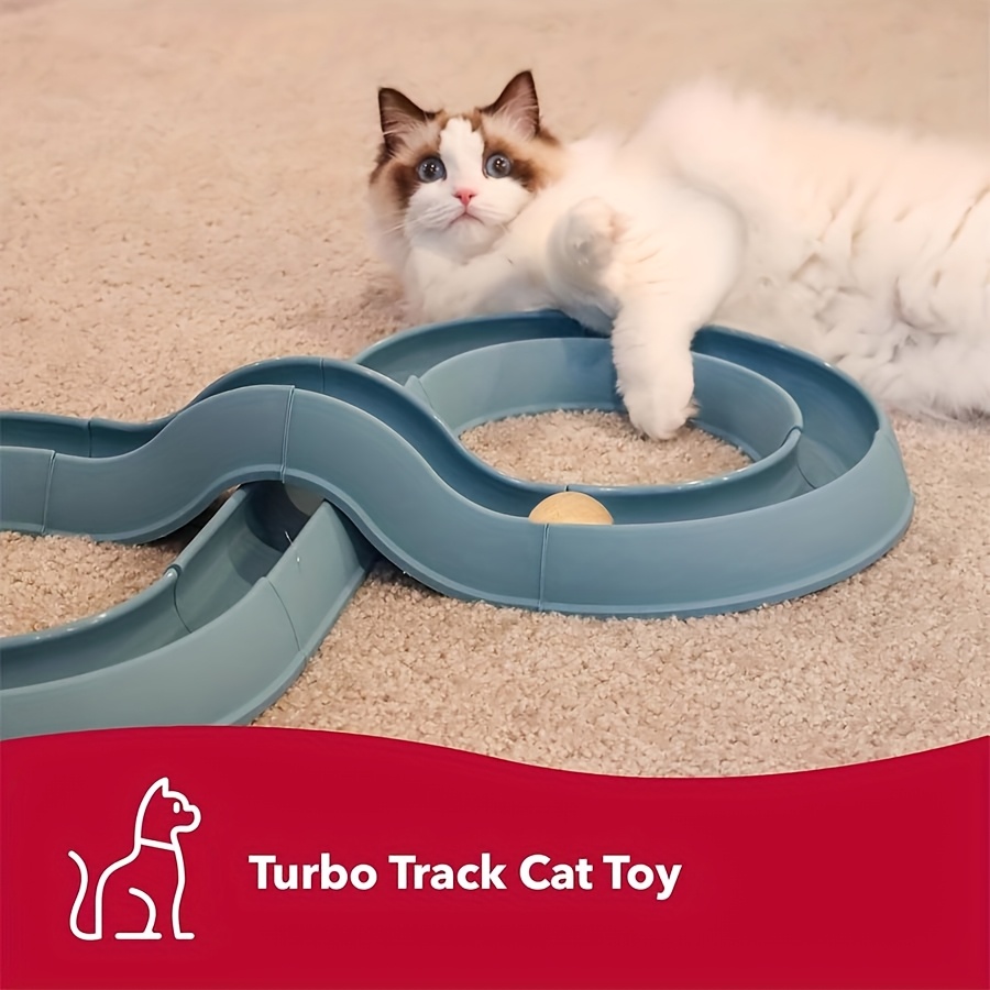 

Jouet pour chat en de de course turbo en plastique bleu avec balle - Motif uni, facile, non chargé, aucune pile requise - Jeu interactif pour chats