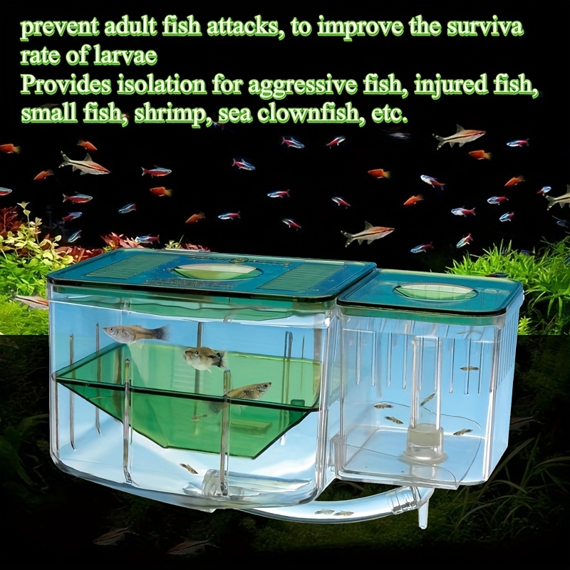 Breeding Box For Fish Tank Penn-Plax Aqua Nursery Breeding Box