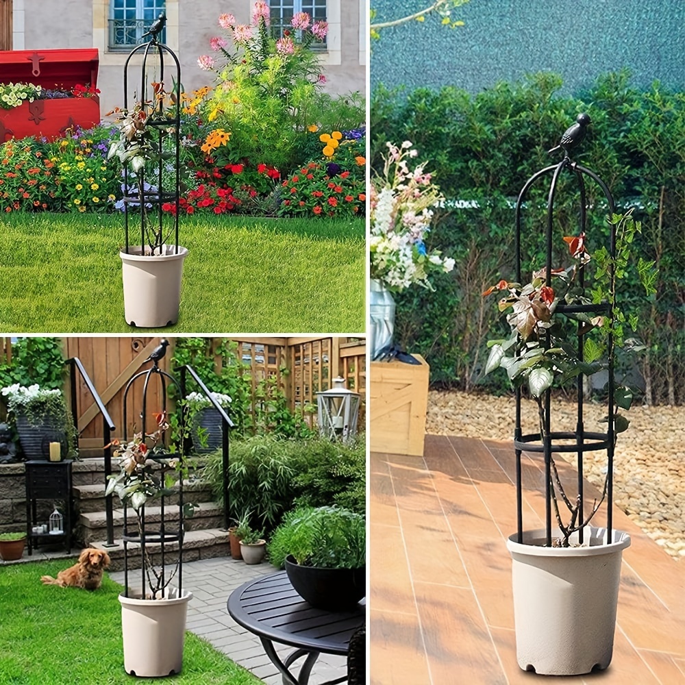 Garden Obelisk Trellis Image 4