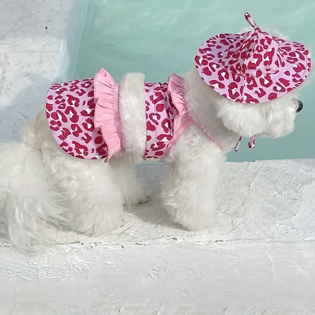 Hunde-Bikini Im Leoparden-Look – Badeanzug Für Kleine Hündinnen, Größe XS, Blau Mit Punkten