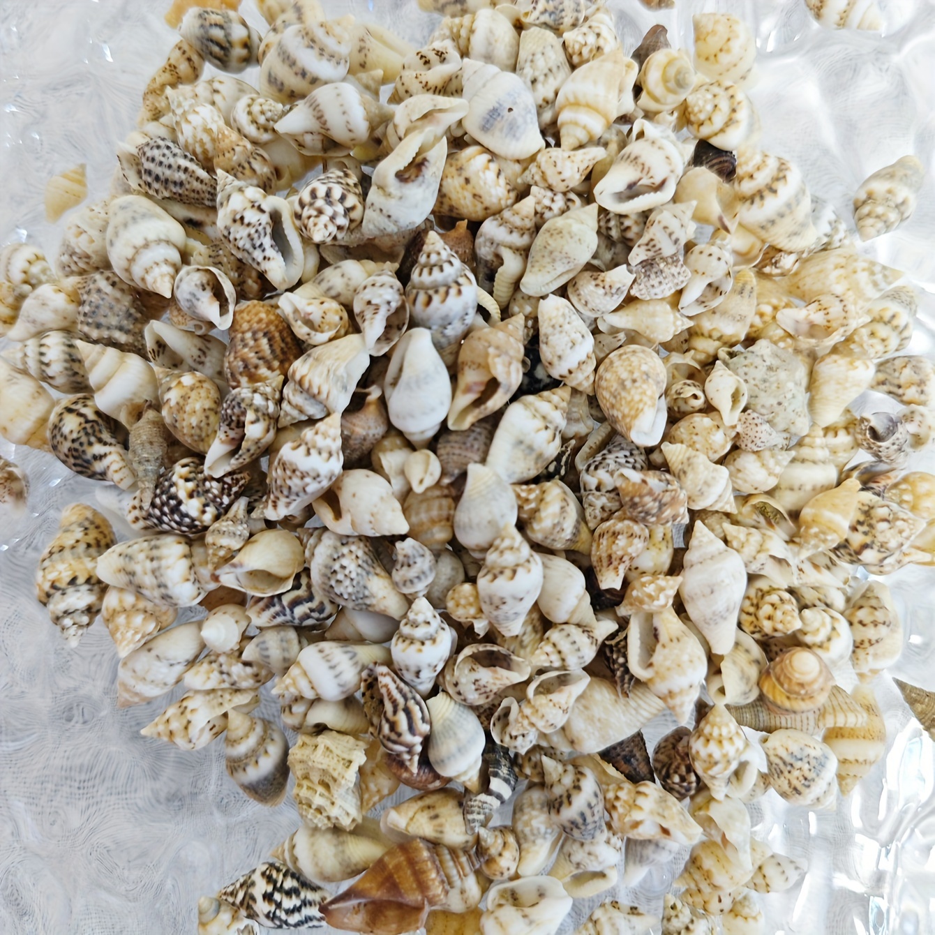 

50g Mini Natural Shell Beads For Jewelry Making, Assorted Tiny Sea Shells For Aquarium Terrarium Decor, Diy Wind Chime Scrapbook Ornaments, Mediterranean Style Craft Materials - No Power Needed