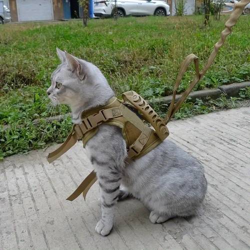 600D Cat Tactical Vest Pet Chest Strap Vest Type Puppy Cat Training Clothing Small Dog Vest