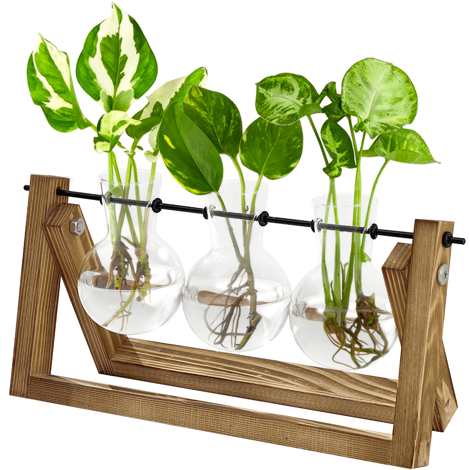 Image of Bamworld Hydroponics Plant Propagation Station With Wooden Stand - 3 Glass Vases For Water Plant Growth And Home Decor