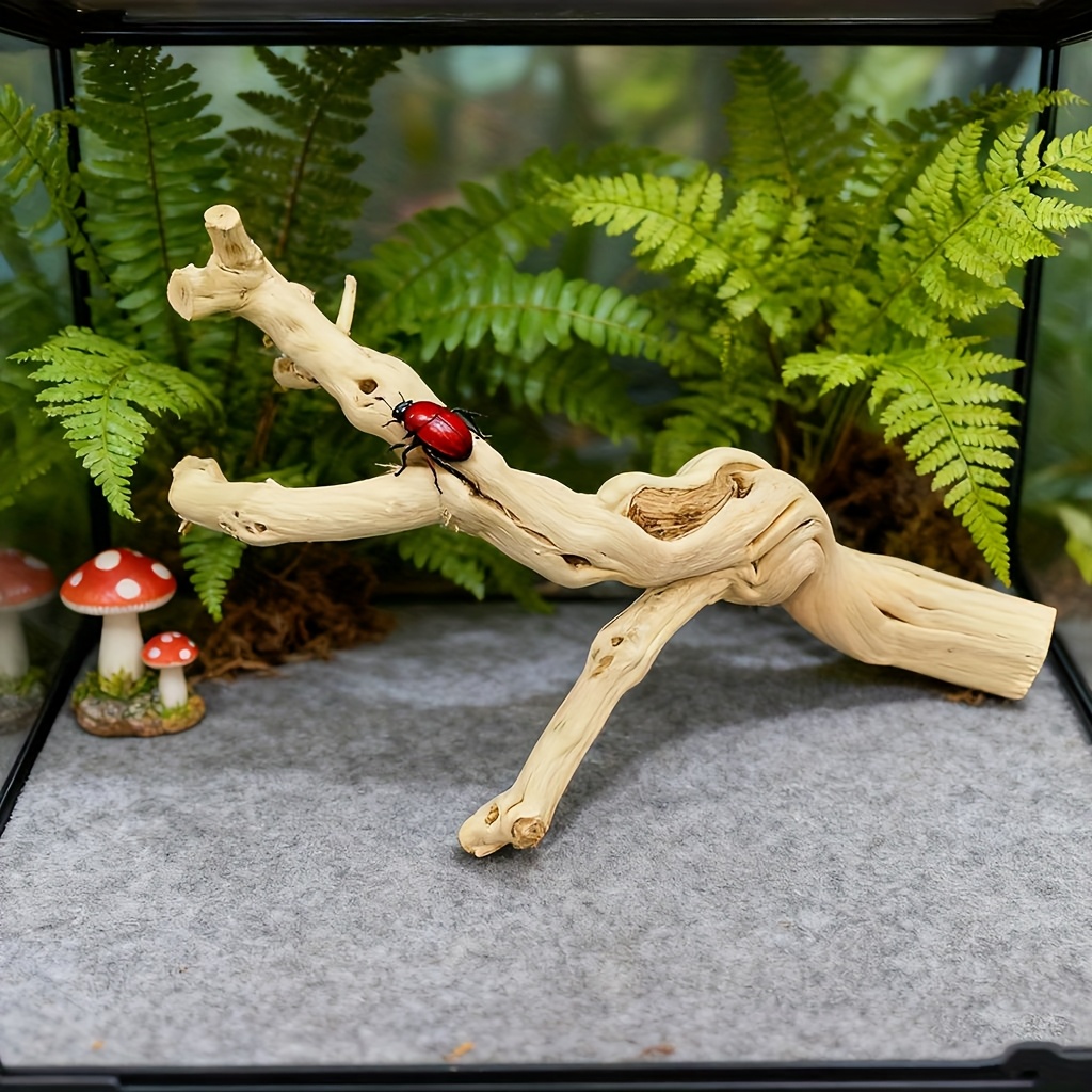 Natural Wood Hideout for Gecko & Bearded Dragon