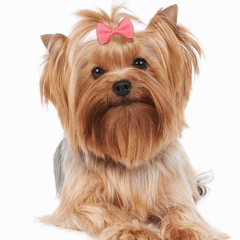 8 12pcs of new macaron colorful puppy hair clips fashionable and   bows dog grooming accessories small dog pet supplies colors are random Product details 4