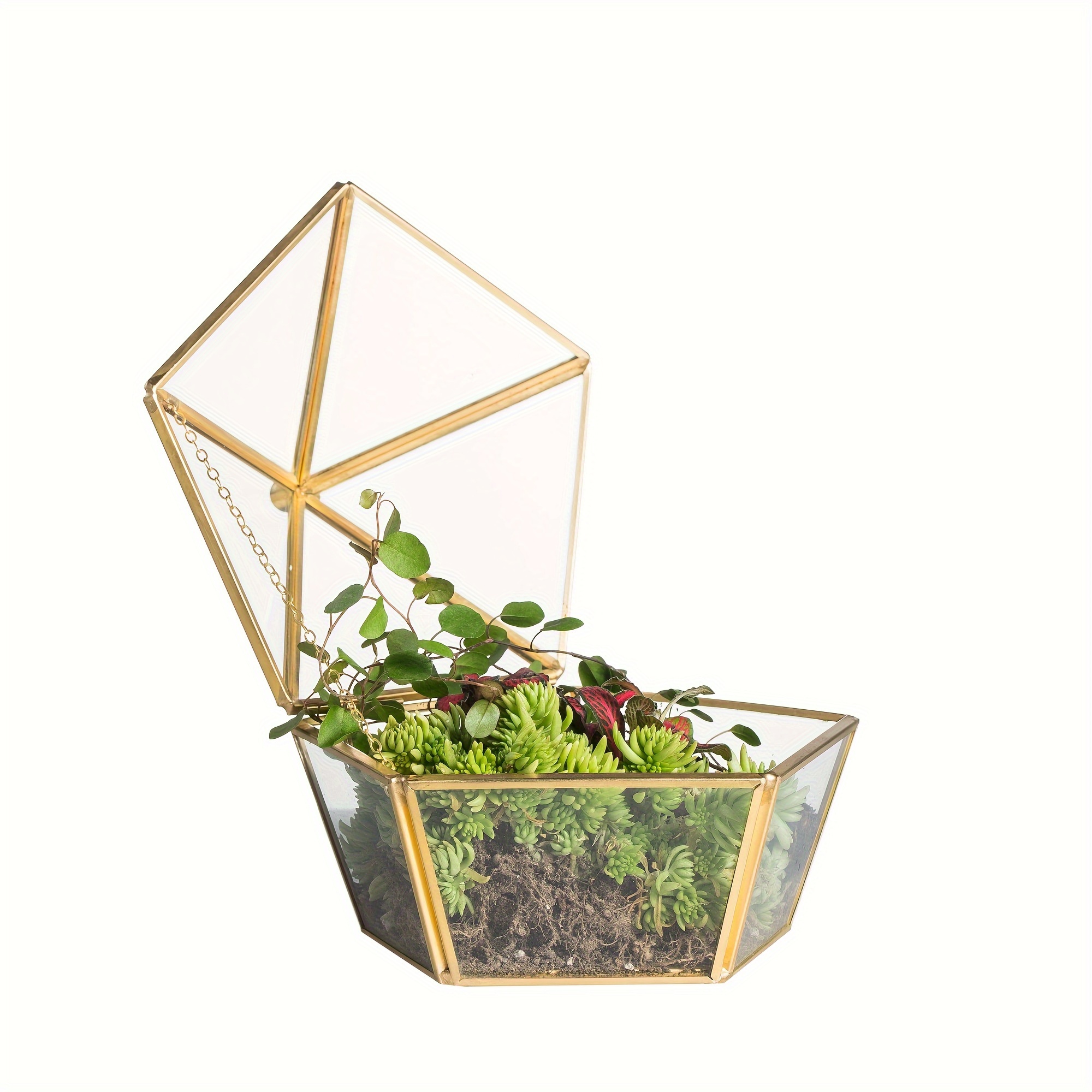 

1pc, Modern Pentagon Shape Closed Geometric Terrarium Planter Pot For Succulent Plant Moss Fern, Brass Clear Glass Jewelry Box, Wedding Decor Container With Swing Lid Golden (no Plants)