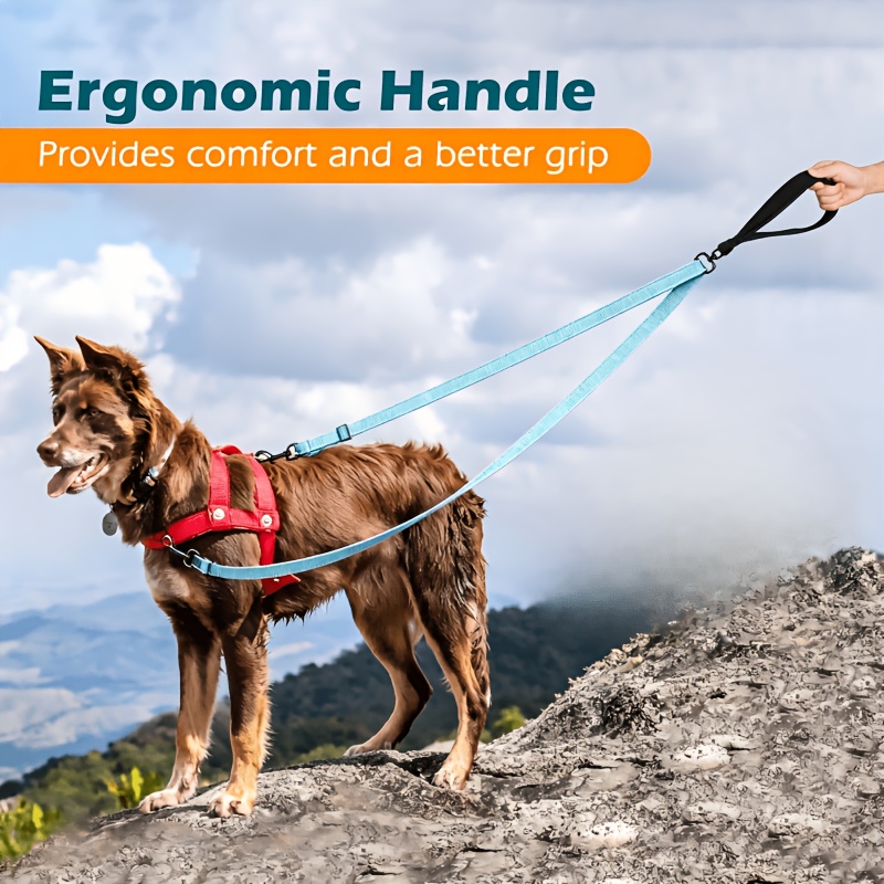 TEMU Laisse pour chien à de contrôle, laisse anti-pull à double extrémité, laisse d'entraînement à de contrôle avec coutures réfléchissantes, laisse