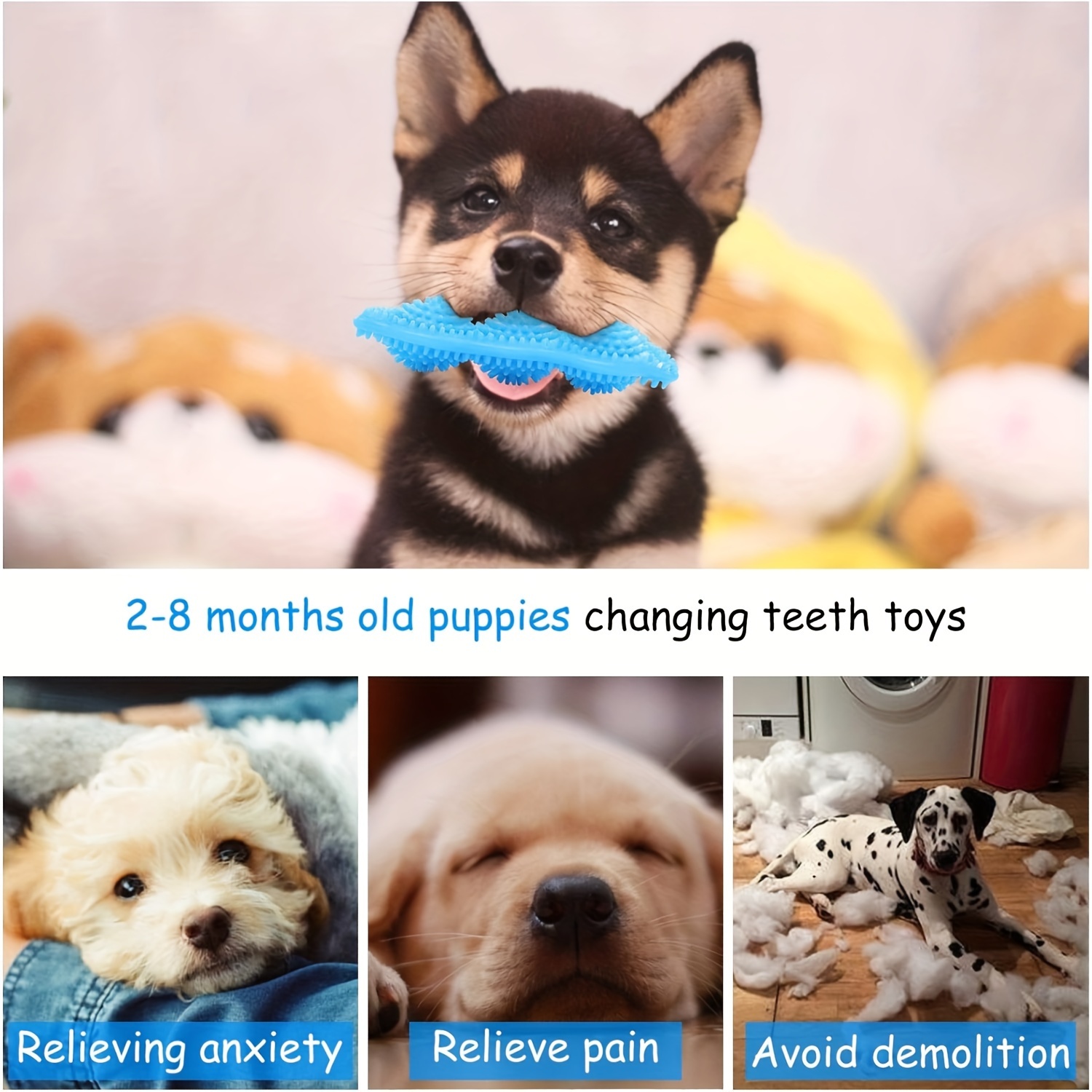pet pea grinding toy pet pea grinding toy Product details 5