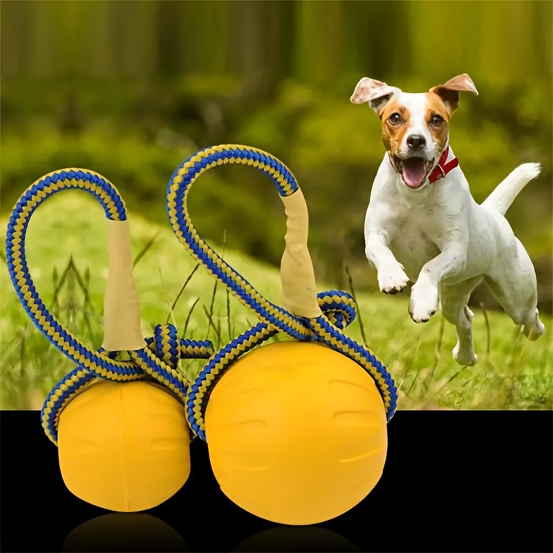 

1pc Durable Dog Toy, Bite-resistant Pet Training Ball With Rope, Outdoor Interactive Dog Accessory