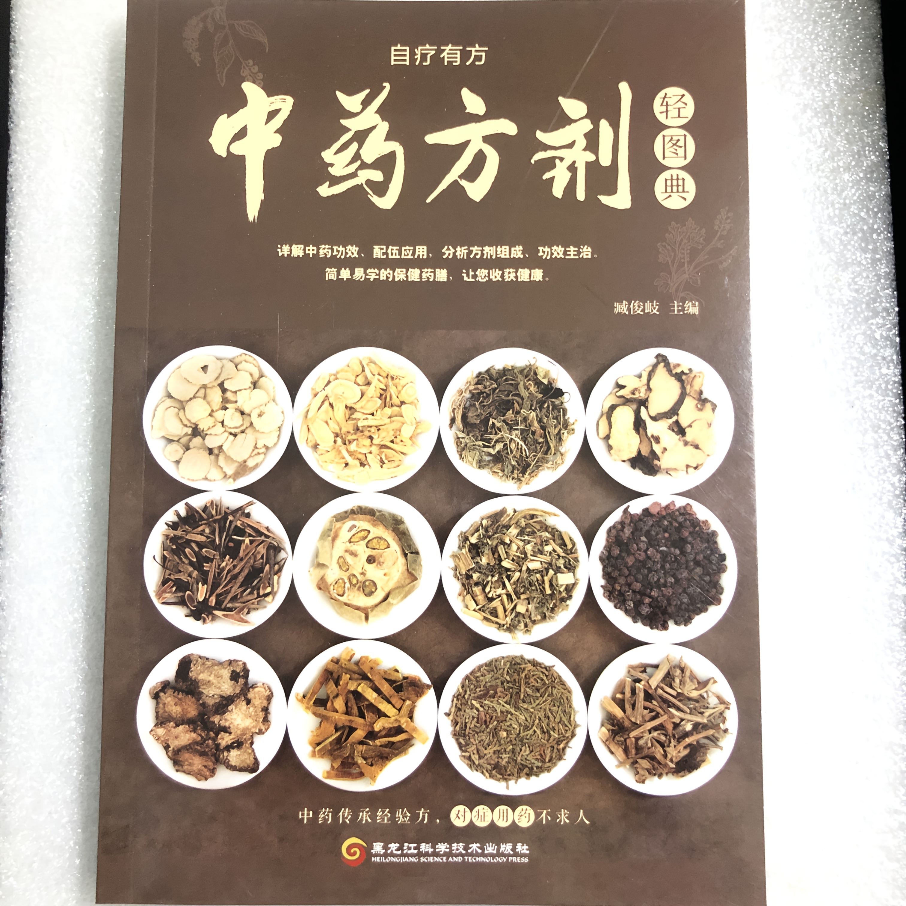 Chinese Medicine Formulae Light Picture Dictionary, Simplified Chinese Edition, Health Science Reference Book, 400g, with 300+ Classic Prescriptions, 20+ Categories, for Students, Medical Professionals, and Traditional Enthusiasts, Age 14+, Chinese Version