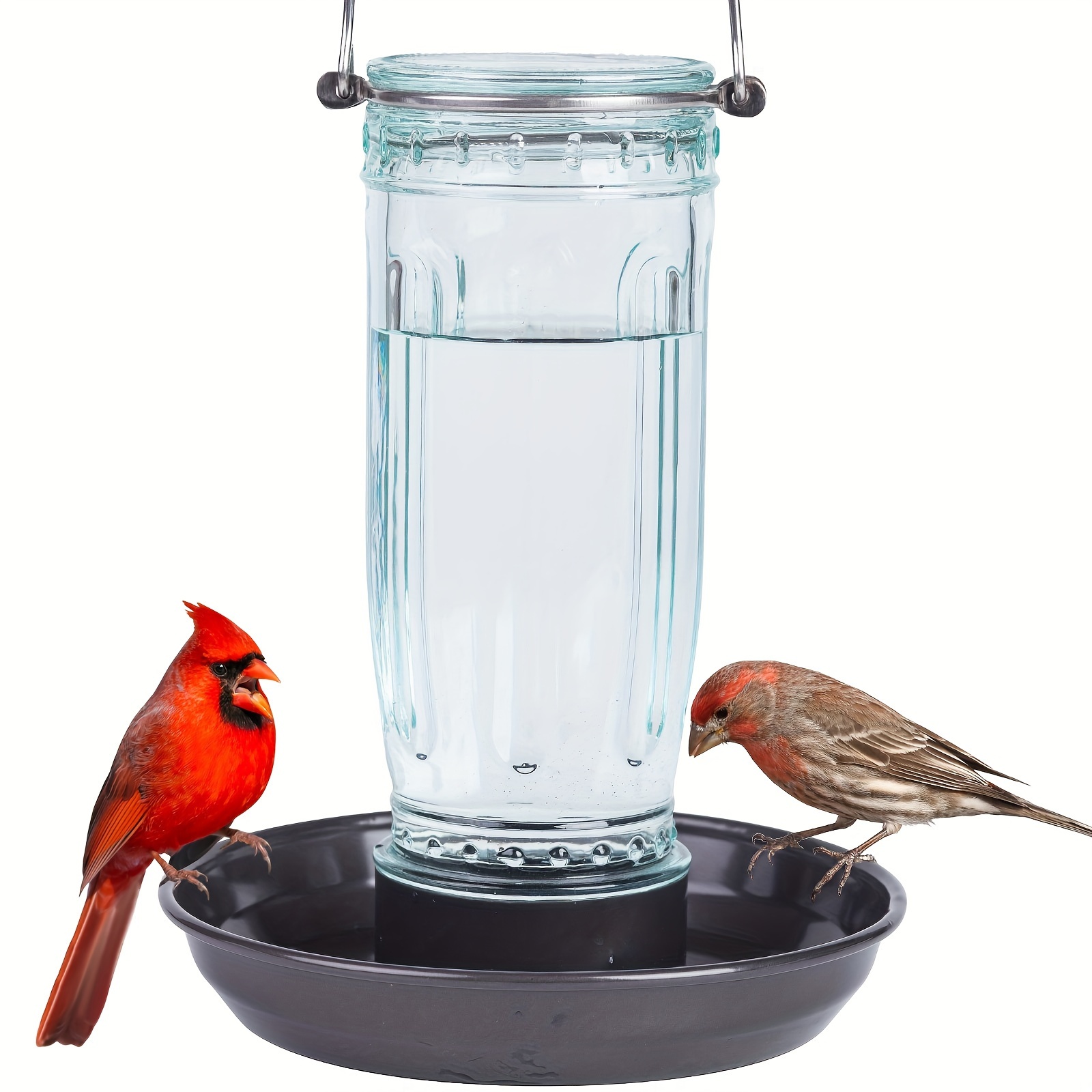 

Kingsyard Bird Water Feeder, 16 Oz Water Dispenser Bird Waterer With Metal Hanging For Garden Yard Outside Decoration