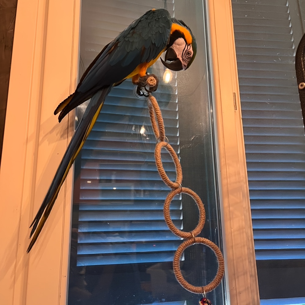 Parrot Climbing Cloud Ladder with Suction Cup