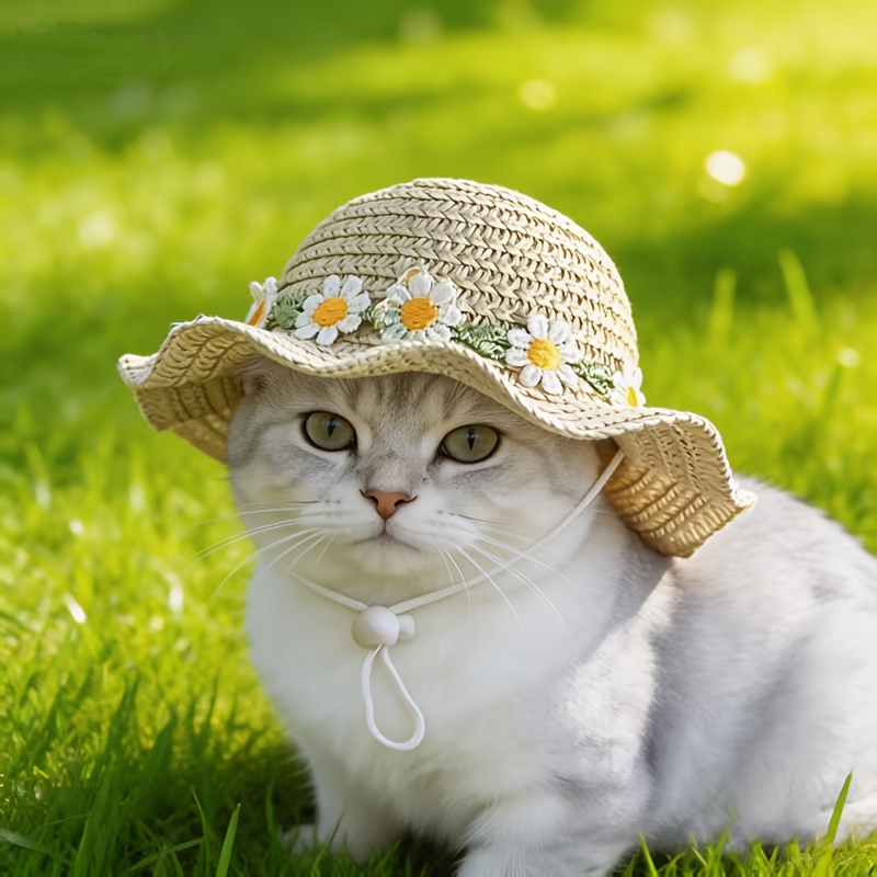 TEMU 작은 데이지가 달린 반려동물 밀짚모자, 고양이 밀짚 양산모자, 자외선 차단 모자