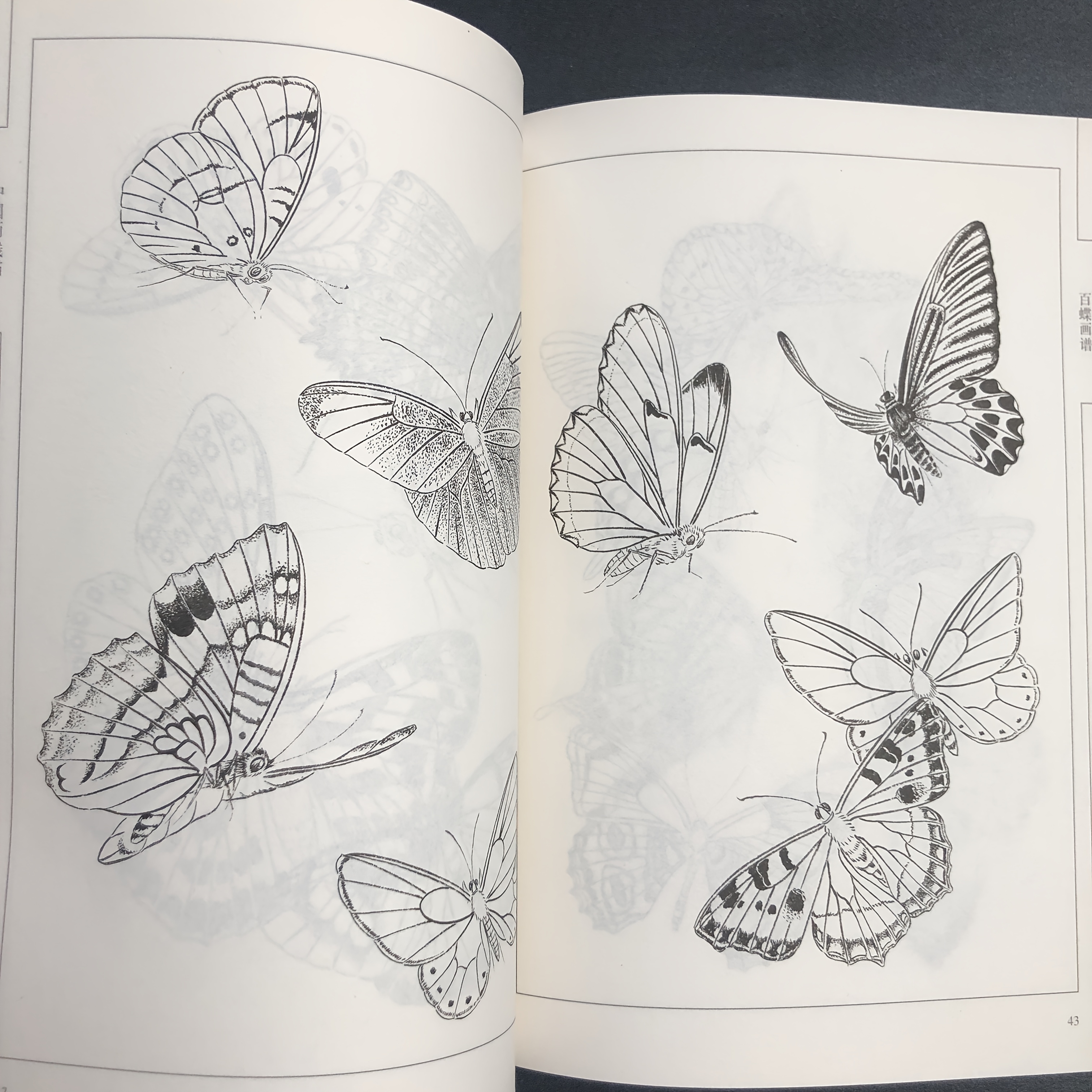 Chinese Line Drawing of Butterflies, My First Chinese Painting Album, a Guide to Traditional Chinese Painting, Suitable for Teenagers And Adults for Stress Relief, DIY Coloring Book, Watercolor, Ink Painting, Oil Painting. Chinese Version
