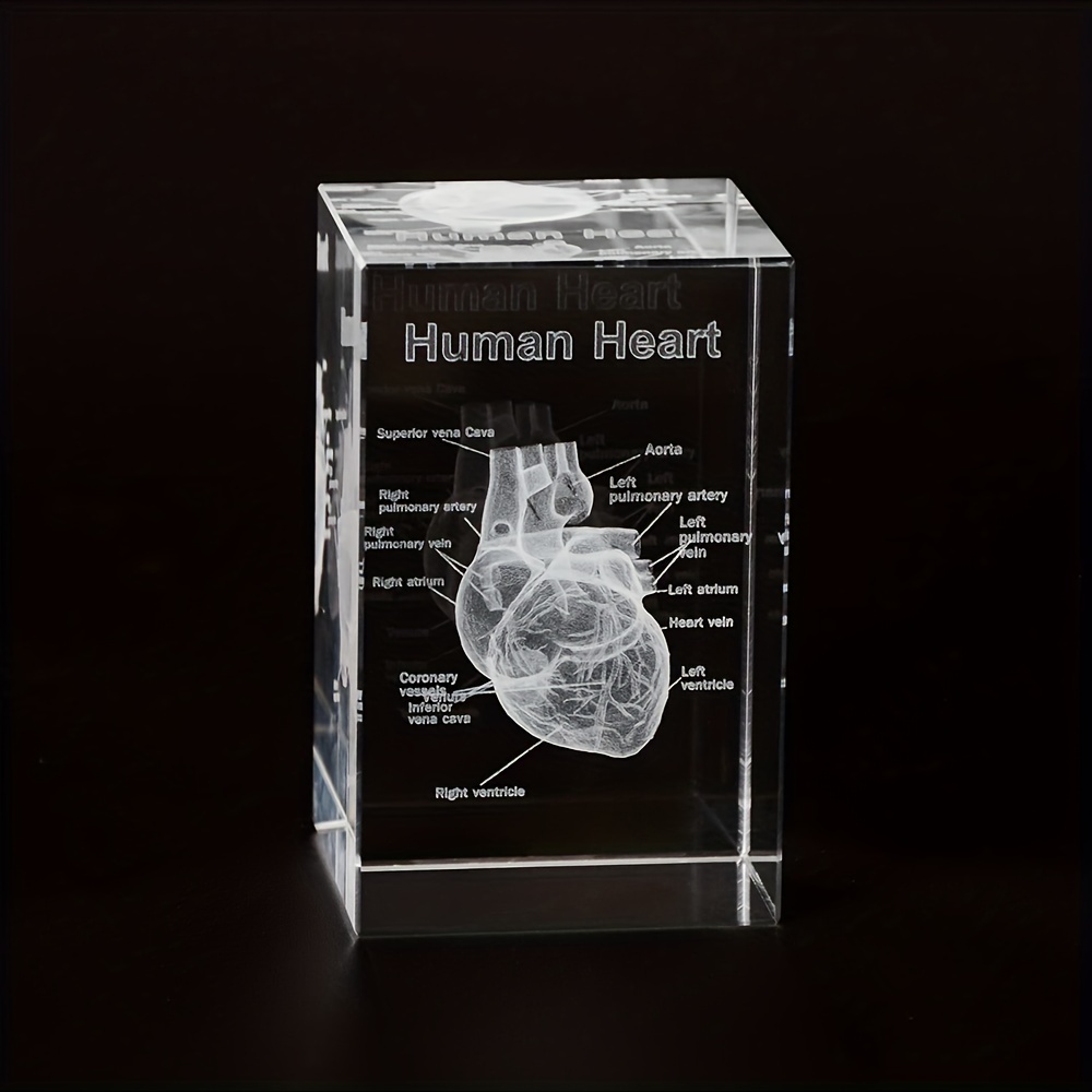 

3d Crystal Human Heart Anatomy Model Cube Miniature Figurines For Hospital Display Souvenirs Cardiology Cardiologist Gifts