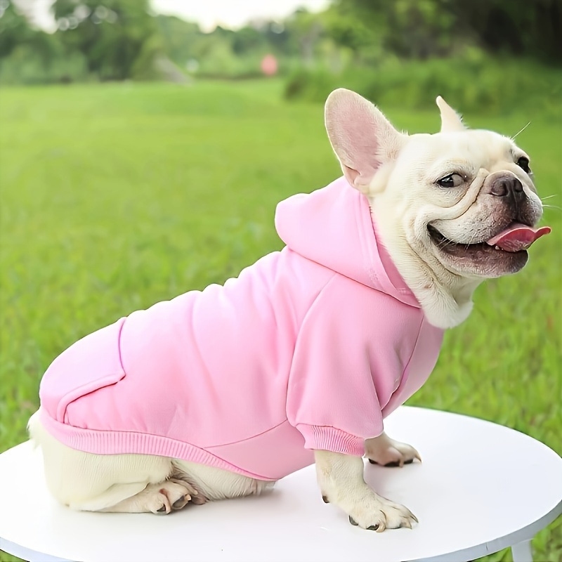 

chien toutes - 100% Pullover et jouets , lavable en - Vêtement extérieur et