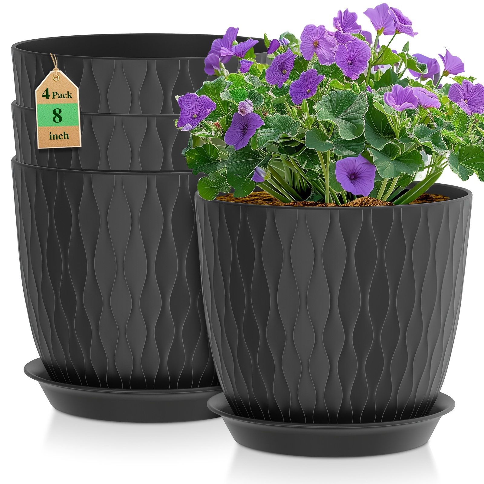 

[ ] 2 Or , 8- Pot Set, Drainage , Plastic , And Seedling Pot, Succulent , , , And Not Included