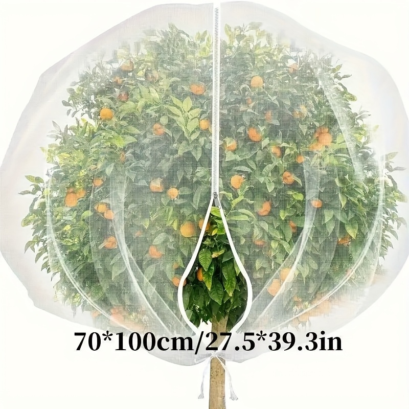 How to Bird Proof Fruit Trees: Easy Tips to Protect Your Harvest