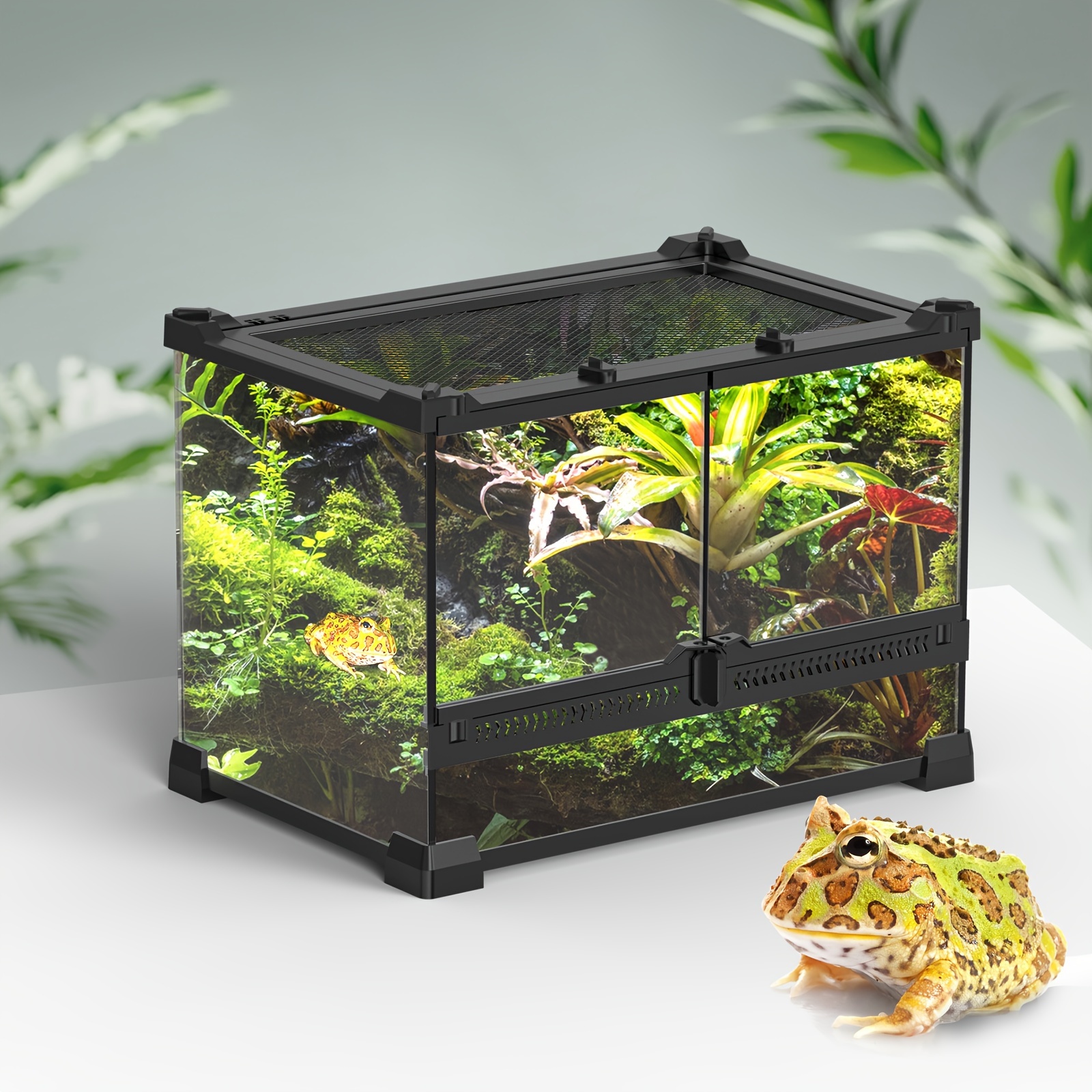 Qivine 2 Pièces Terrarium Acrylique, Transparence à 360 Degrés, 2 Tailles Vivarium, Terrarium Escargot Ventilé Pour