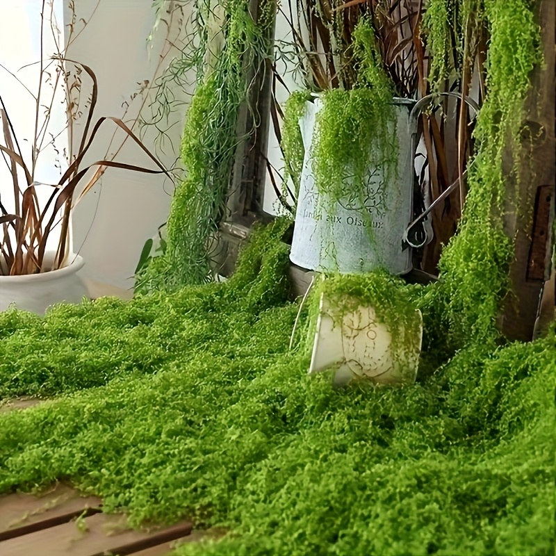 synthetisches gras miniaturlandschaften zimmerpflanzen - Temu Luxembourg