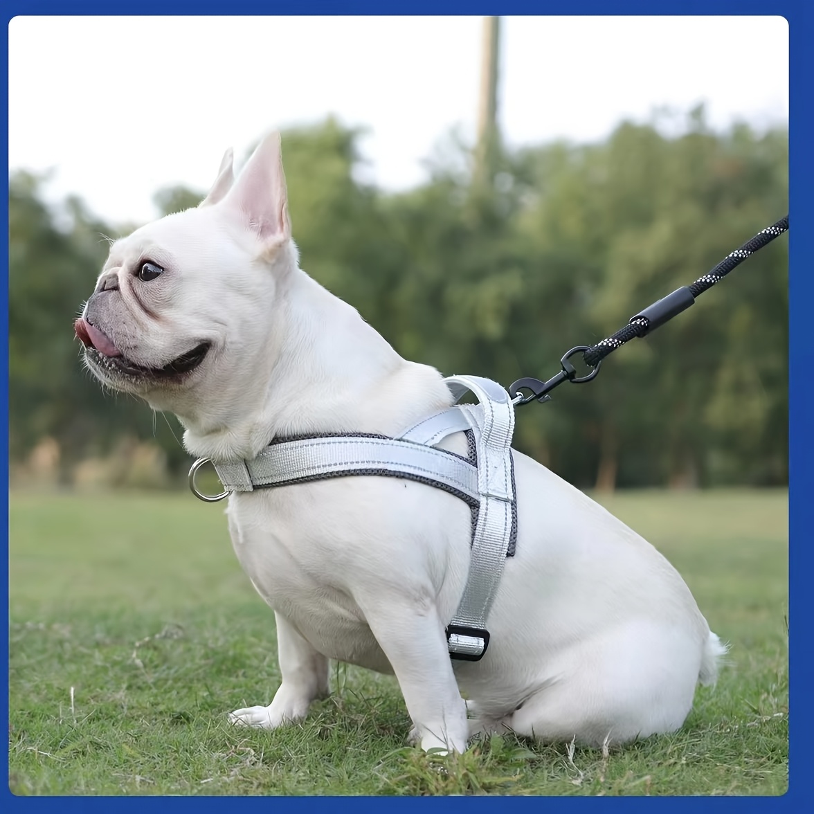 Adjustable Anti-Pull Dog Leash with Saddle-Style Chest Harness