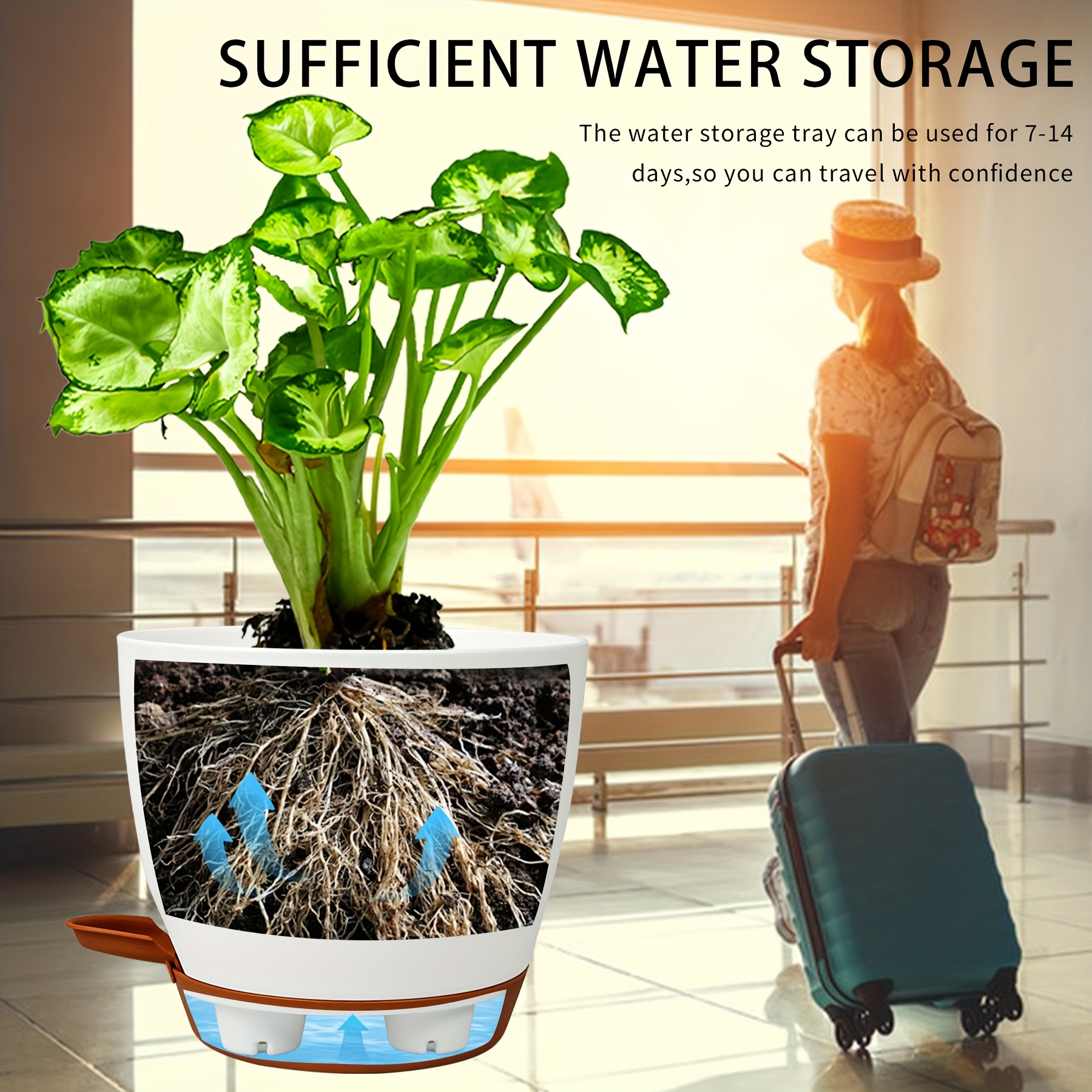 5 pack self watering plant pots drainage hole watering - Temu