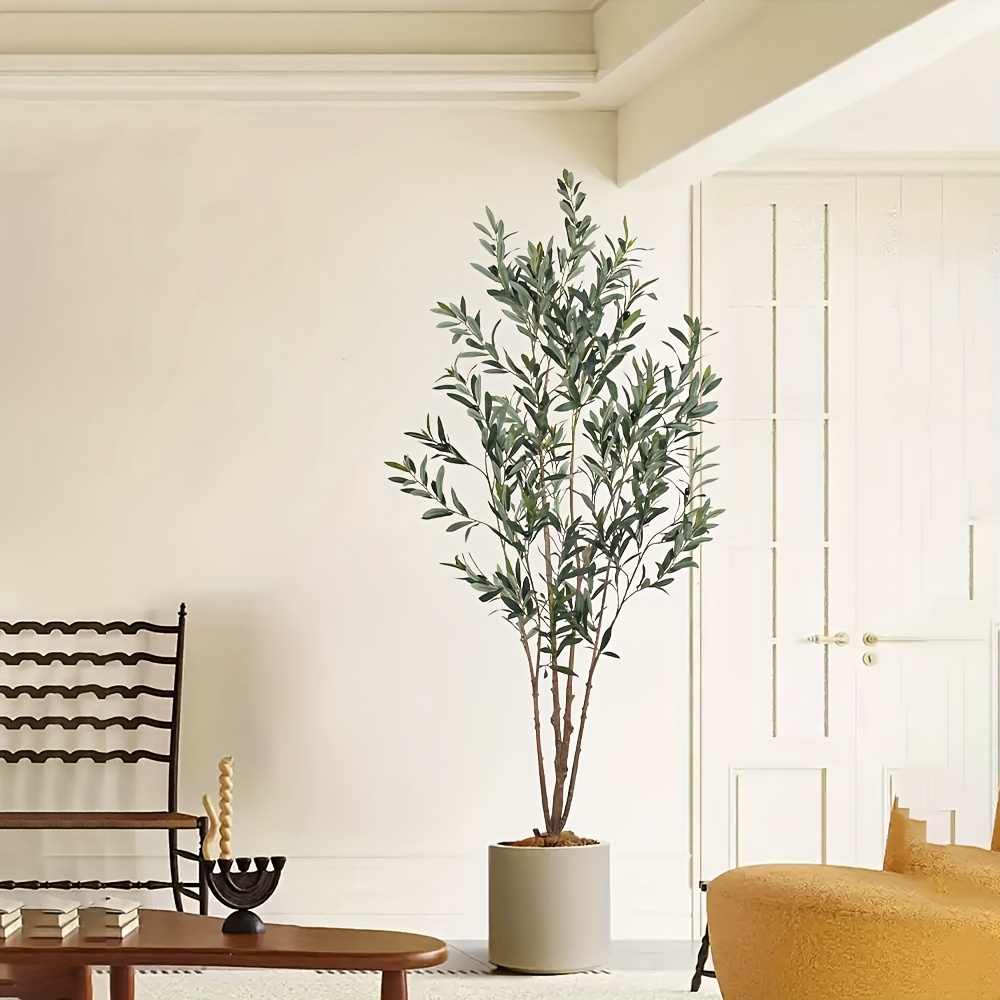 thuja emerald Emerald Green Arborvitae ( Thuja )