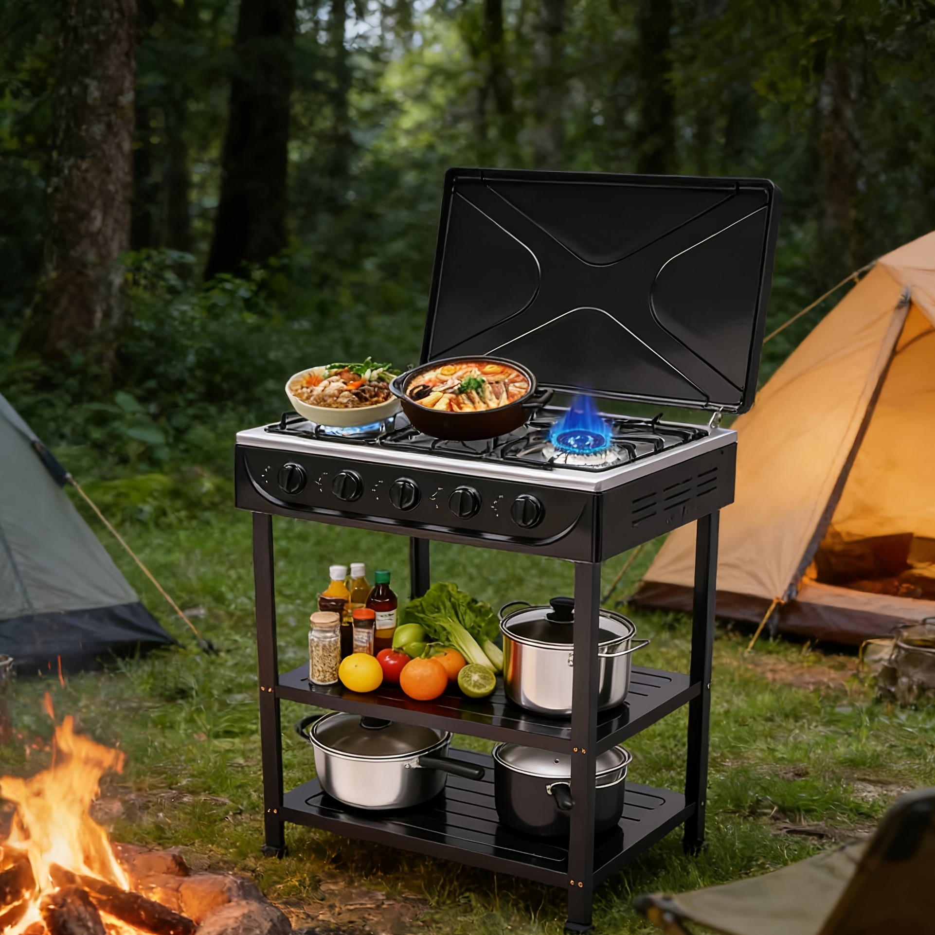 RexTact 2 Burner Camping Stove with Carrying Bag, Foldable Propane Camp Stove with 17,200 BTU