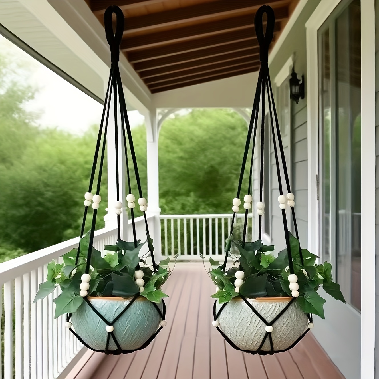 lucky bamboo sale Buy Lucky Bamboo Plant Saplings (3pcs) | Only Rs.79/- main image 1