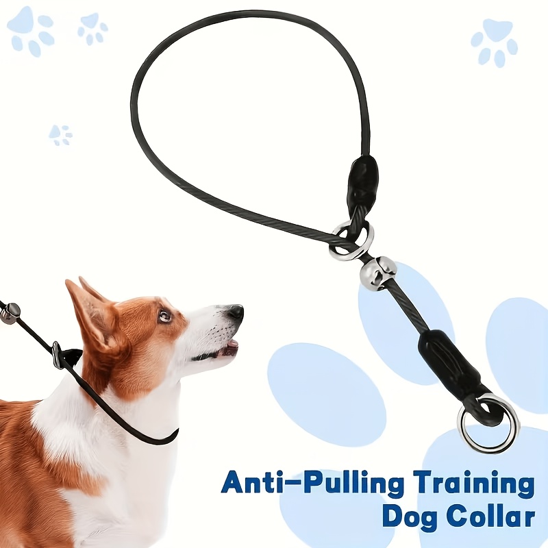 Dog Training Leash with Adjustable Metal P-Collar, Anti-Pull Design