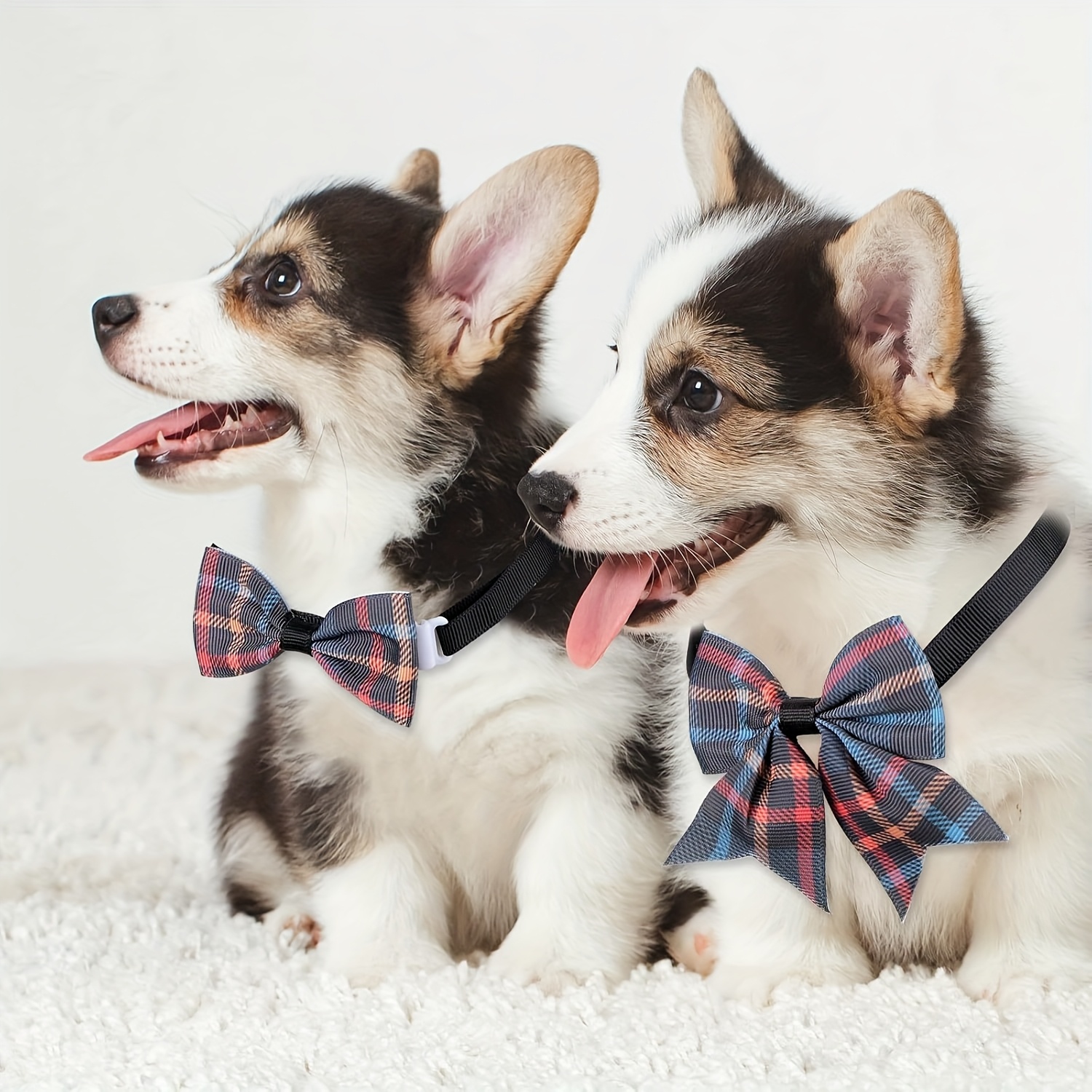 valentine's day dog bow tie