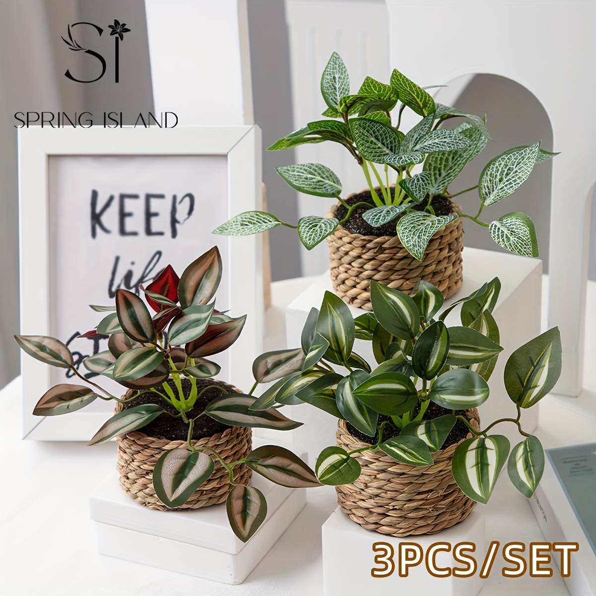 3 piezas/set Planta Artificial de Helecho de Ratán con Bola de Hierba, Planta Tropical Simulada con Maceta, Orquídea de Bambú Colgante con Vena Blanca, Decoración de Peperomia, Zebrina, Inchplant, Peperomia, Fittonia, Verde, Material PE, Fibra de Poliéster, Venta al por Mayor, Flor Artificial
