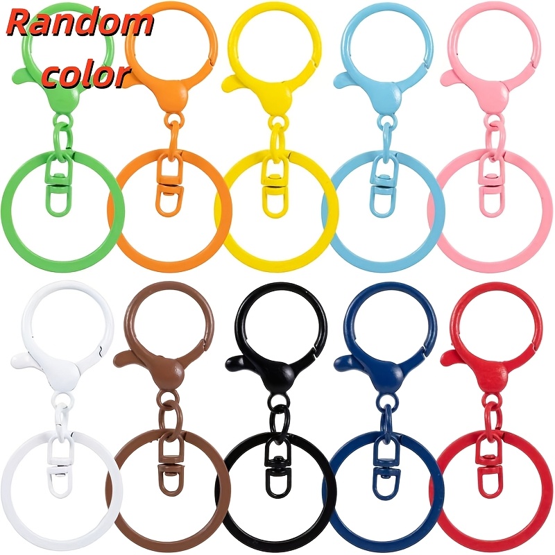 TEMU 36pcs Assorted Color Men's Novelty Keychains, Key Ring Clasps, Keychain Rings, Bag Charms, Clips, Keychain Clips, Hooks, Suitable For Diy