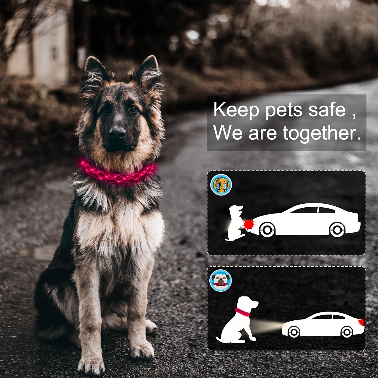 Rechargeable LED Dog Collar Set with Decorative Pet Bell