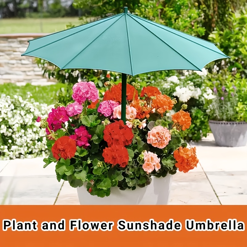 2 outdoor sonnenschutz regenschutzschirme - Temu Germany
