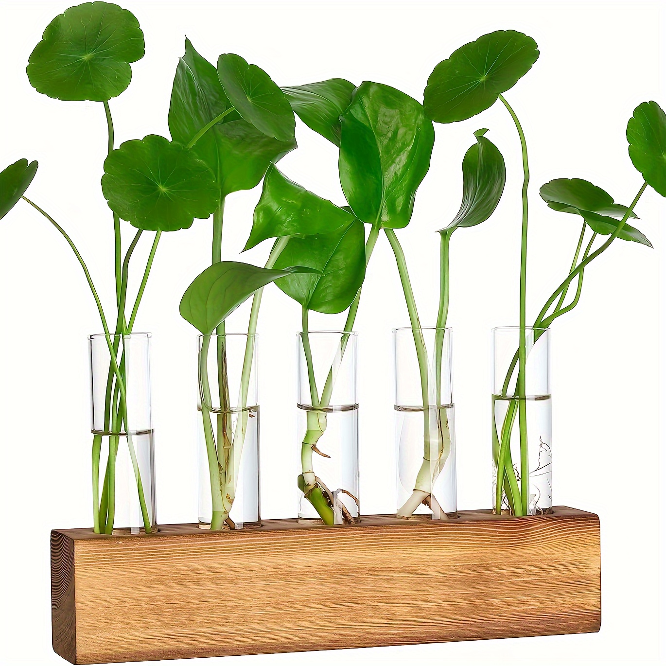 

Set, Hydroponic Plant Vases, Wooden Base With Glass Propagation Test Tubes, Chic Home Indoor Decor, Elegant Gift