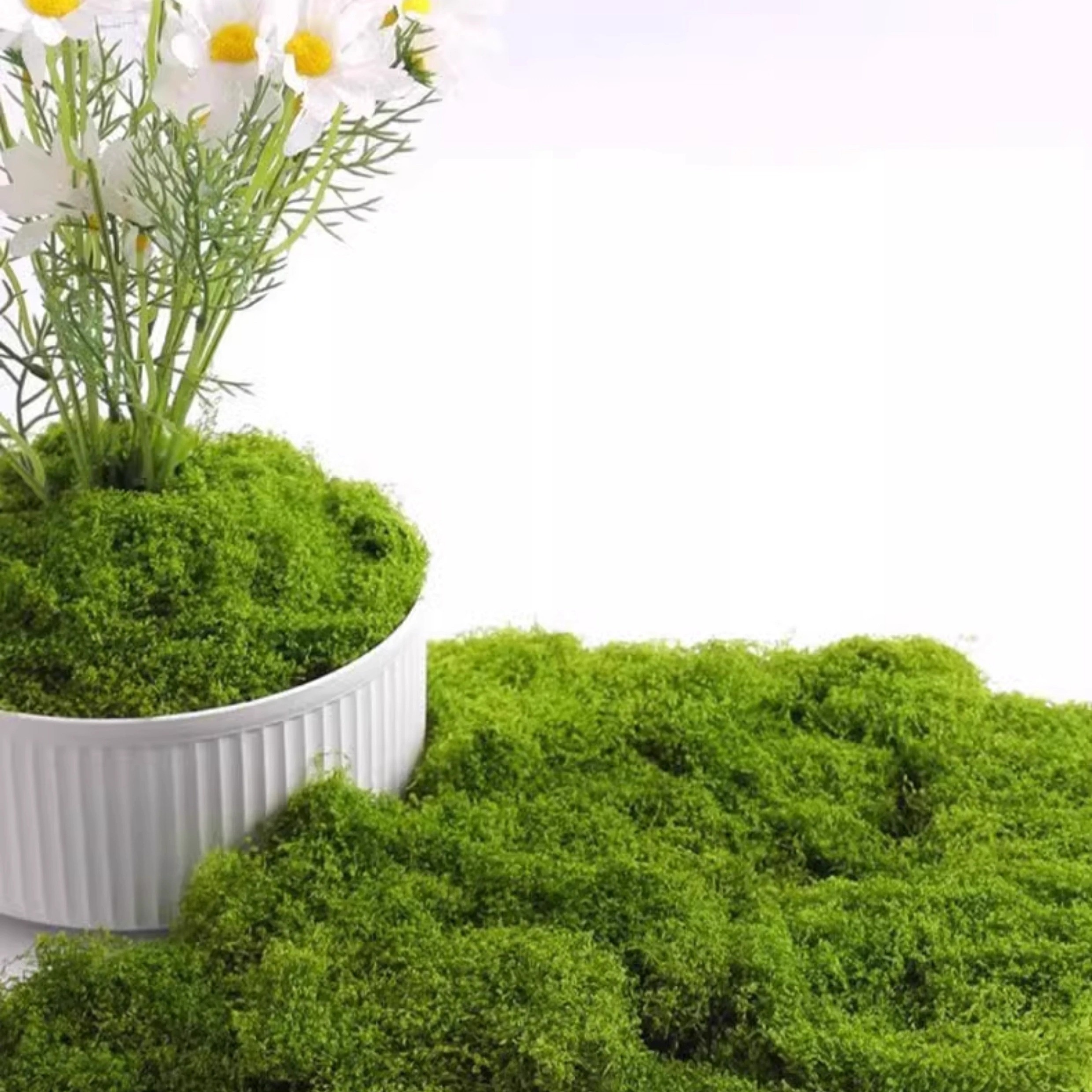 

1pc 25g/50g/simulated Moss Plants, Landscape Moss, Micro Landscape Soft Decoration, Artificial Grass Lawn, Window Photography Props