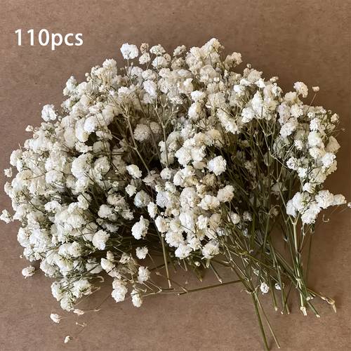 110pcs dried decorations greeting cards weddings and office d cor
