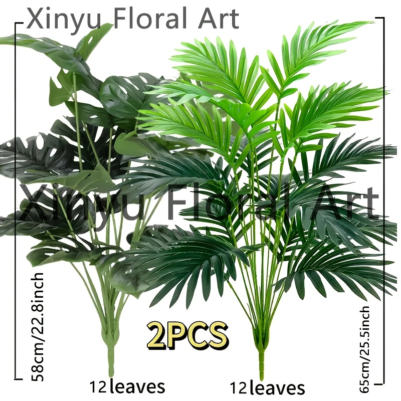 monstera groß kaufen Monstera Deliciosa | Kaufen Sie seltene Pflanzen online main image 0